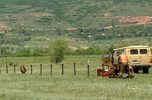 fencing-SOssetiaAdminBorder